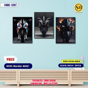 Wall Canvas12*16_207